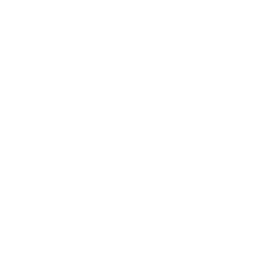 investor
